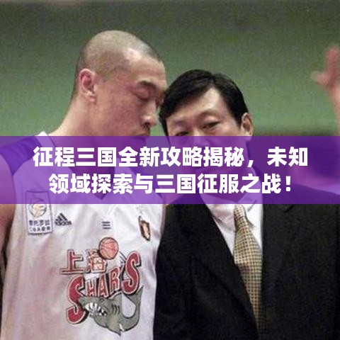 征程三国全新攻略揭秘，未知领域探索与三国征服之战！
