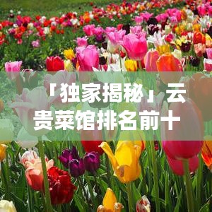 「独家揭秘」云贵菜馆排名前十，开启独特美食之旅！