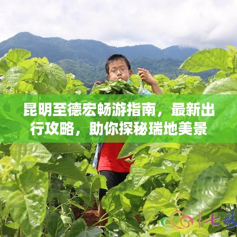 昆明至德宏畅游指南，最新出行攻略，助你探秘瑞地美景
