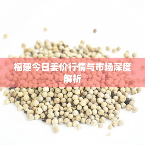 福建今日姜价行情与市场深度解析