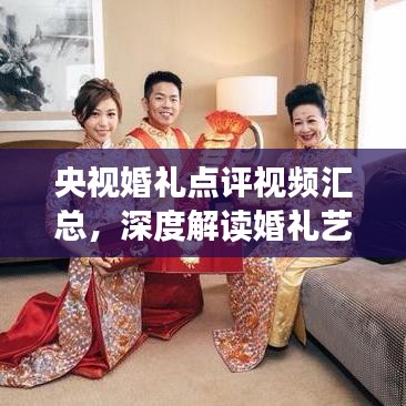 央视婚礼点评视频汇总，深度解读婚礼艺术魅力与时尚潮流趋势