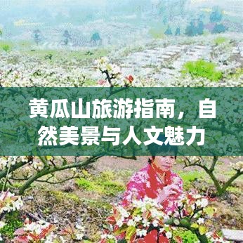 黄瓜山旅游指南，自然美景与人文魅力全攻略