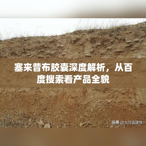 塞来昔布胶囊深度解析，从百度搜索看产品全貌