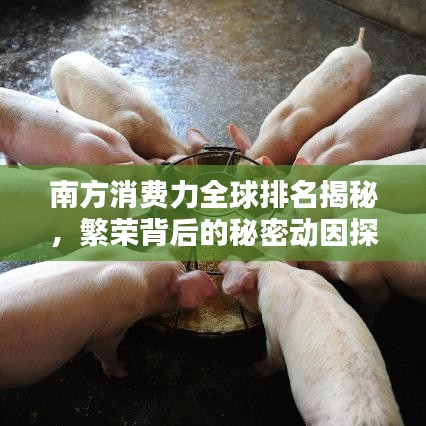 南方消费力全球排名揭秘，繁荣背后的秘密动因探究