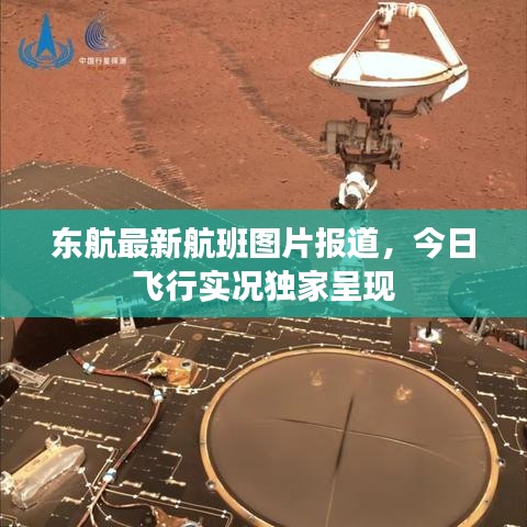 东航最新航班图片报道，今日飞行实况独家呈现