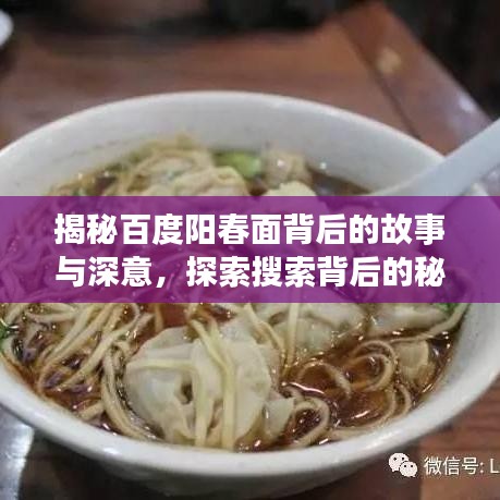 揭秘百度阳春面背后的故事与深意，探索搜索背后的秘密之旅