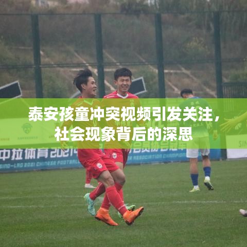 泰安孩童冲突视频引发关注，社会现象背后的深思