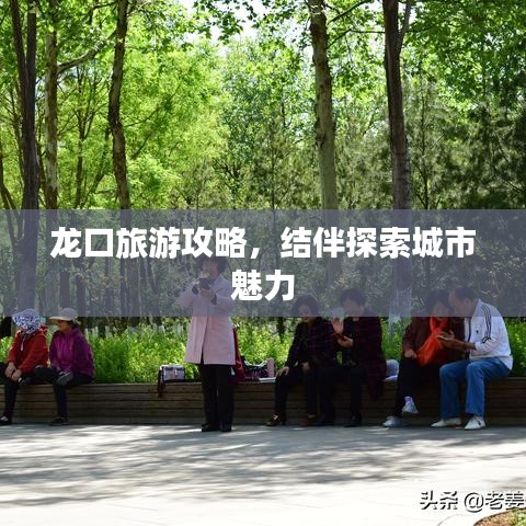 龙口旅游攻略，结伴探索城市魅力