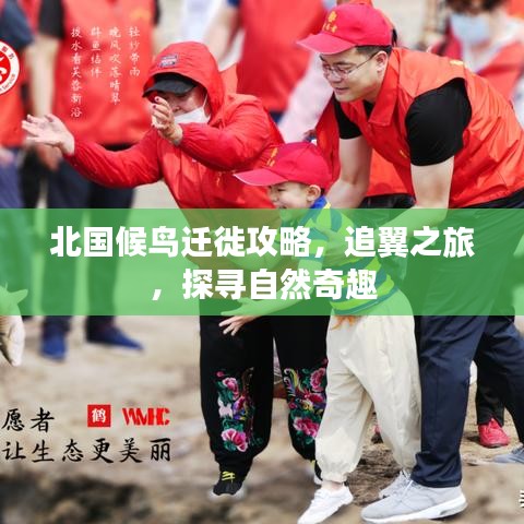 北国候鸟迁徙攻略，追翼之旅，探寻自然奇趣