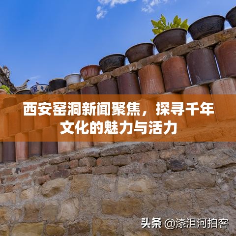 西安窑洞新闻聚焦，探寻千年文化的魅力与活力