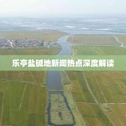 乐亭盐碱地新闻热点深度解读