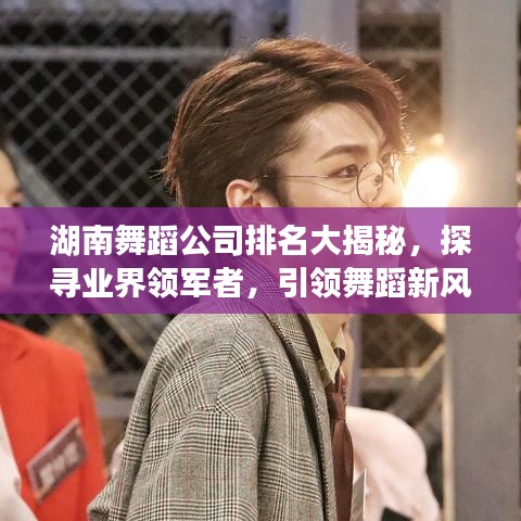 湖南舞蹈公司排名大揭秘，探寻业界领军者，引领舞蹈新风潮流