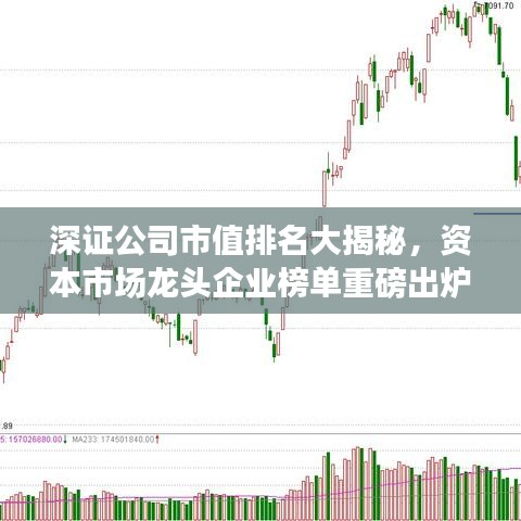 深证公司市值排名大揭秘，资本市场龙头企业榜单重磅出炉！