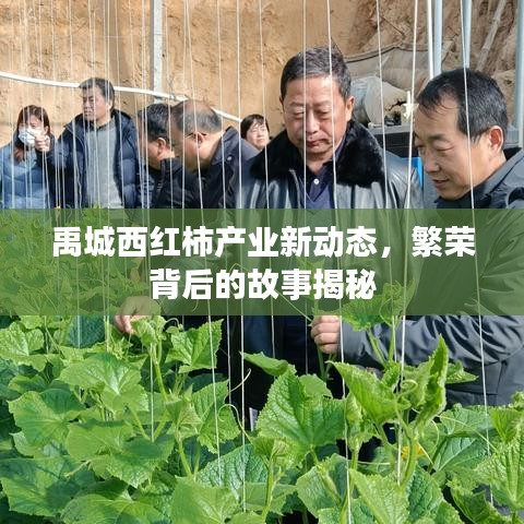 实力资源 第2页