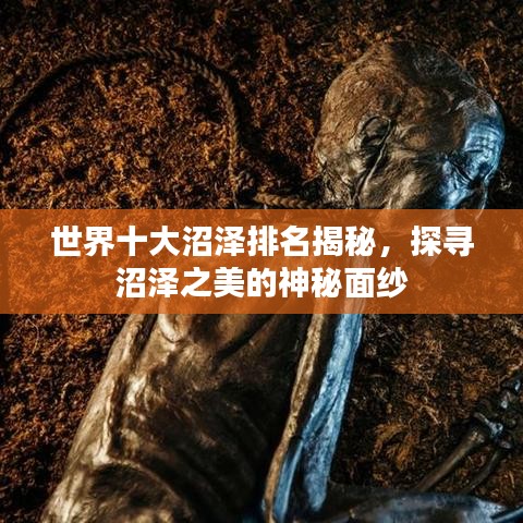 世界十大沼泽排名揭秘，探寻沼泽之美的神秘面纱