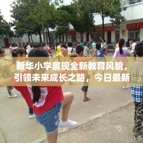 新华小学展现全新教育风貌，引领未来成长之路，今日最新消息发布