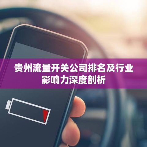贵州流量开关公司排名及行业影响力深度剖析