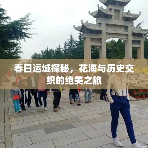 春日运城探秘，花海与历史交织的绝美之旅