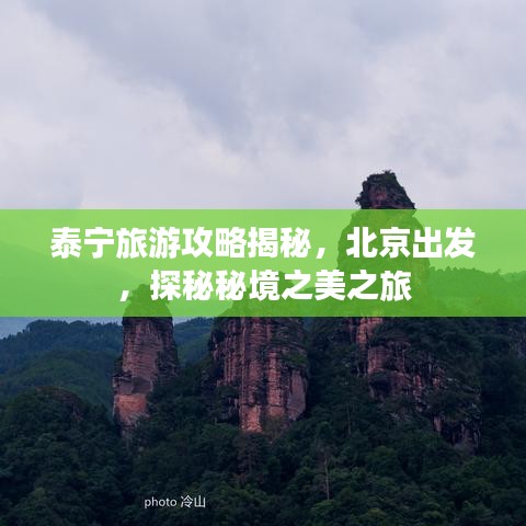 衣无二彩