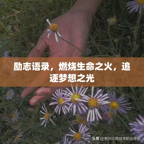 励志语录，燃烧生命之火，追逐梦想之光