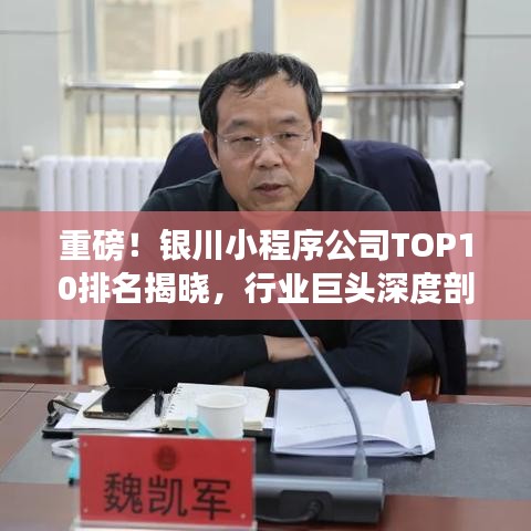 重磅！银川小程序公司TOP10排名揭晓，行业巨头深度剖析！