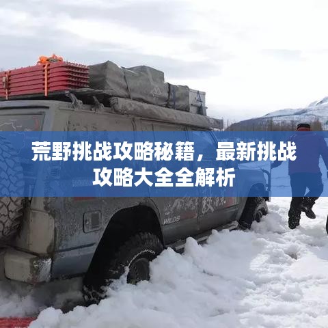 荒野挑战攻略秘籍，最新挑战攻略大全全解析