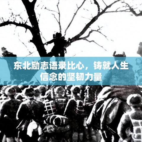 东北励志语录比心，铸就人生信念的坚韧力量