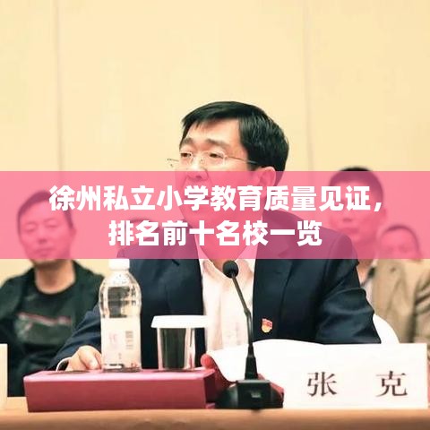 徐州私立小学教育质量见证，排名前十名校一览