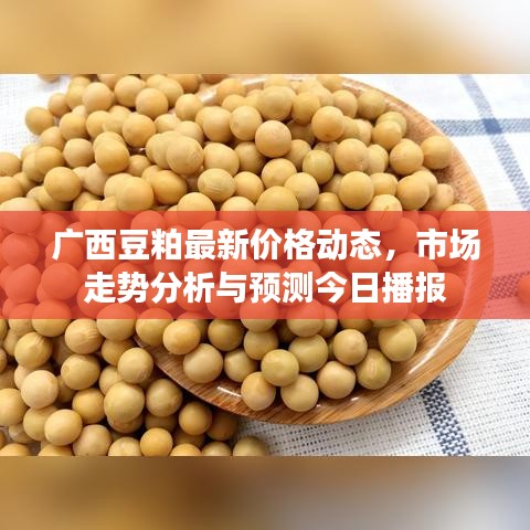 广西豆粕最新价格动态，市场走势分析与预测今日播报