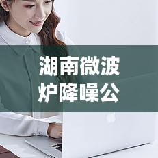 湖南微波炉降噪公司排行榜揭晓，专业品质与创新力引领行业新潮流