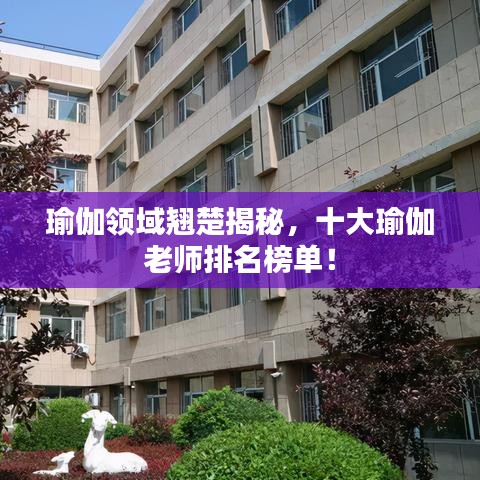 瑜伽领域翘楚揭秘，十大瑜伽老师排名榜单！