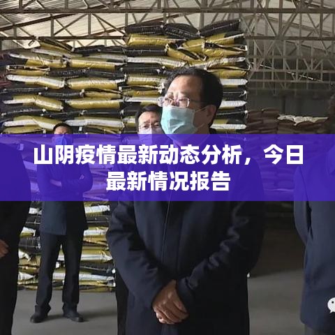 山阴疫情最新动态分析，今日最新情况报告