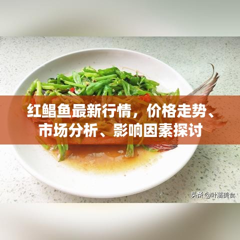 红鲳鱼最新行情，价格走势、市场分析、影响因素探讨