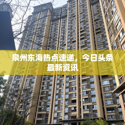 泉州东海热点速递，今日头条最新资讯