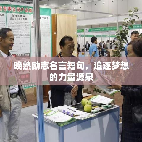 晚熟励志名言短句，追逐梦想的力量源泉