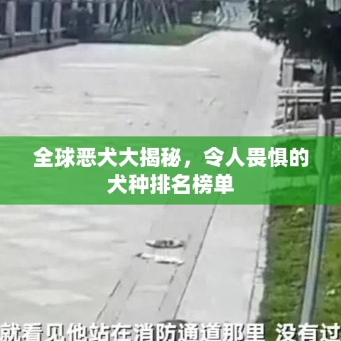 全球恶犬大揭秘，令人畏惧的犬种排名榜单
