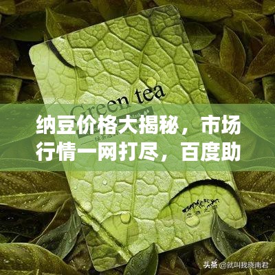 纳豆价格大揭秘，市场行情一网打尽，百度助你全面了解！