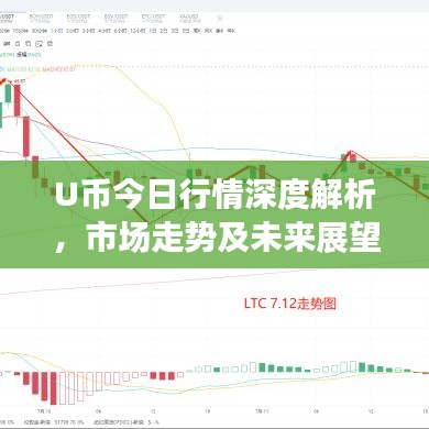 U币今日行情深度解析，市场走势及未来展望