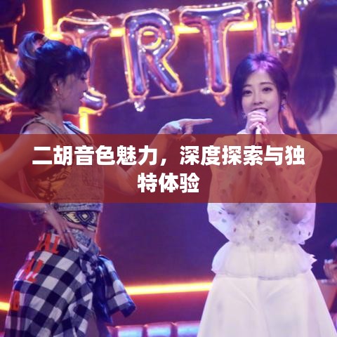 二胡音色魅力，深度探索与独特体验