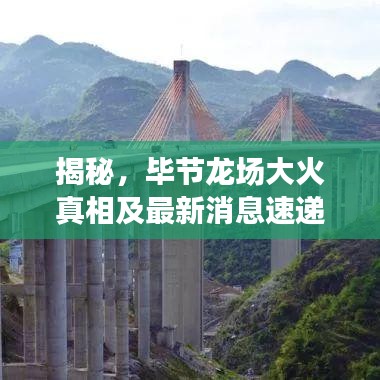 揭秘，毕节龙场大火真相及最新消息速递
