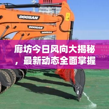 廊坊今日风向大揭秘，最新动态全面掌握