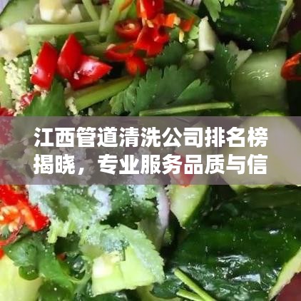 江西管道清洗公司排名榜揭晓，专业服务品质与信誉并存的企业推荐