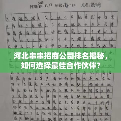 河北串串招商公司排名揭秘，如何选择最佳合作伙伴？