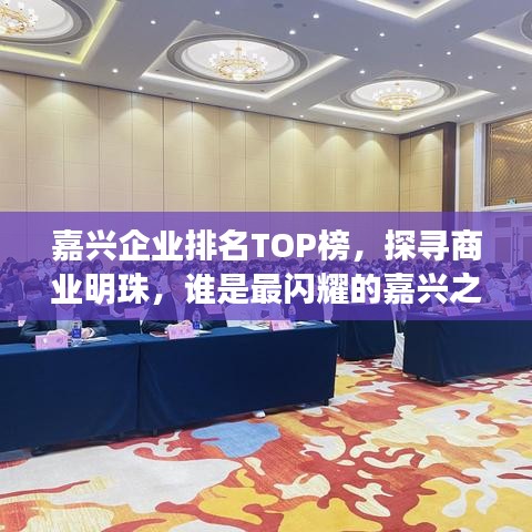 嘉兴企业排名TOP榜，探寻商业明珠，谁是最闪耀的嘉兴之星？