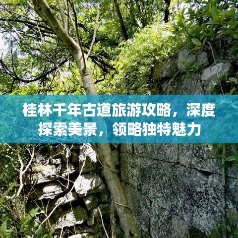 桂林千年古道旅游攻略，深度探索美景，领略独特魅力