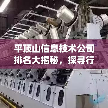 平顶山信息技术公司排名大揭秘，探寻行业领军者的核心竞争力与秘密武器