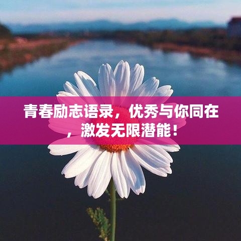 青春励志语录，优秀与你同在，激发无限潜能！