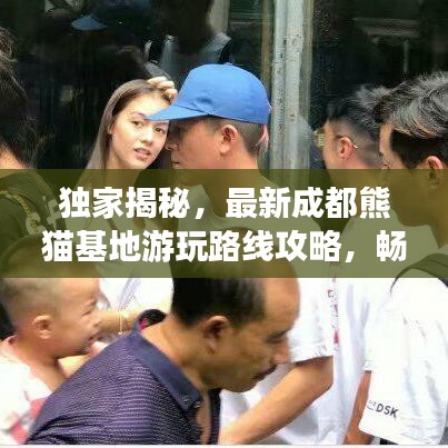 独家揭秘，最新成都熊猫基地游玩路线攻略，畅游无忧！