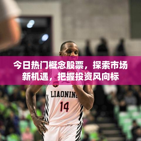 今日热门概念股票，探索市场新机遇，把握投资风向标
