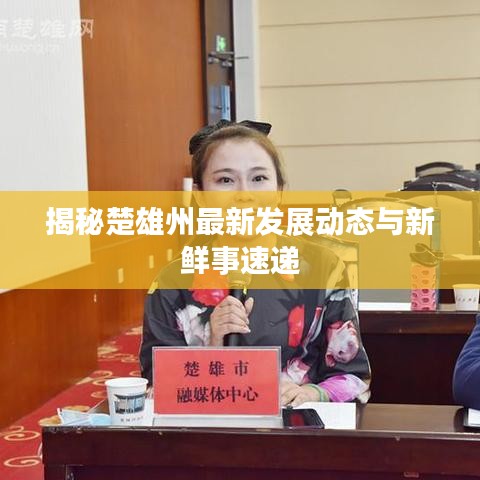 揭秘楚雄州最新发展动态与新鲜事速递